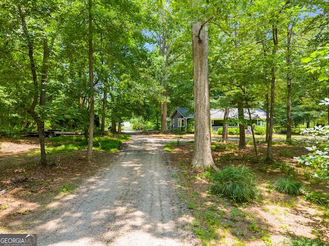 220 Gamble Dr, Carrollton, GA 30116 - view of dirt / gravel road