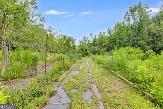 220 Gamble Dr, Carrollton, GA 30116 - view of yard featuring a wooded view