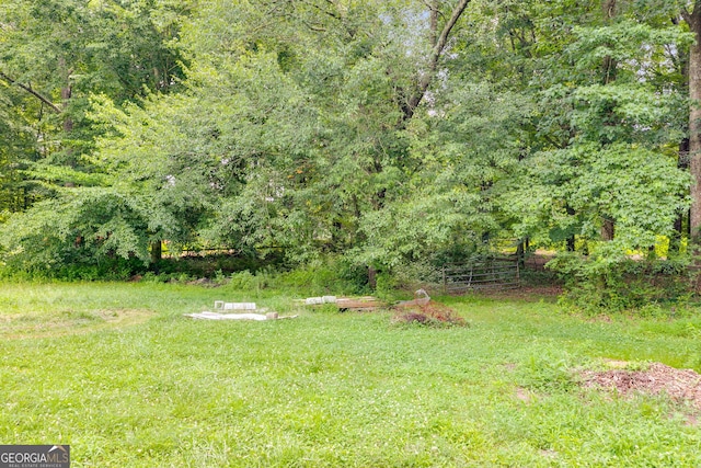 220 Gamble Dr, Carrollton, GA 30116 - view of yard featuring a forest view
