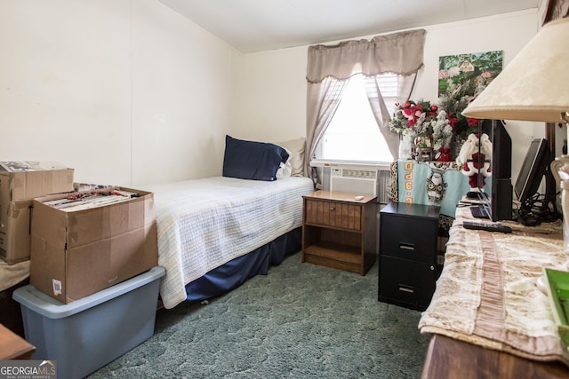 3564 Chapel Cir, Blackshear, GA 31516 - bedroom with dark carpet and cooling unit