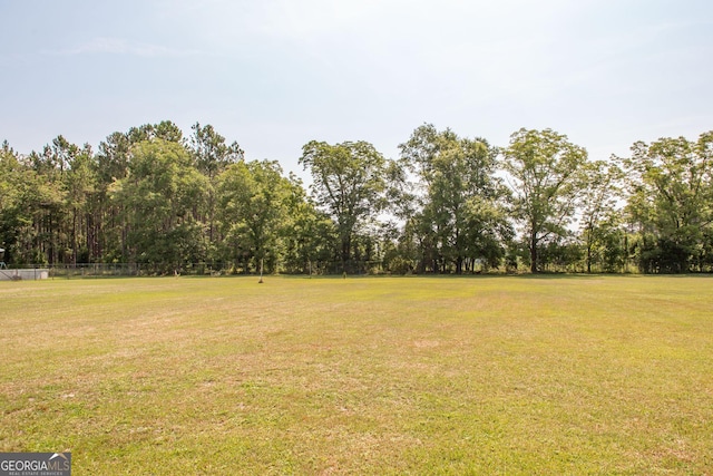 3564 Chapel Cir, Blackshear, GA 31516 - view of green lawn