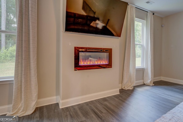116 Sophie Cir, Locust Grove, GA 30248 - detailed view of wood finished floors and a glass covered fireplace