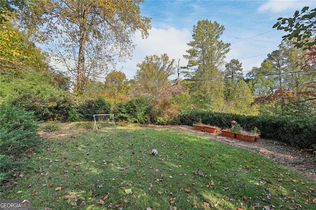 2653 Partridge Trl, Duluth, GA 30097 - view of green lawn
