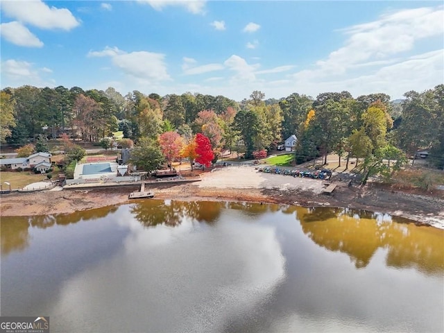 2653 Partridge Trl, Duluth, GA 30097 - water view