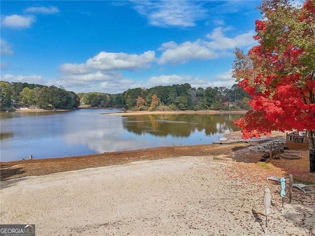 2653 Partridge Trl, Duluth, GA 30097 - water view with a forest