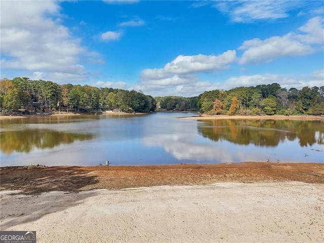 2653 Partridge Trl, Duluth, GA 30097 - water view featuring a heavily wooded area