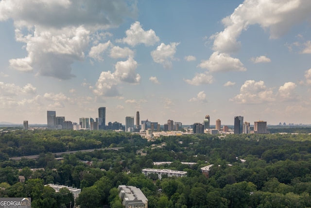 9 Saint Claire Ln NE, Atlanta, GA 30324 - view of city skyline