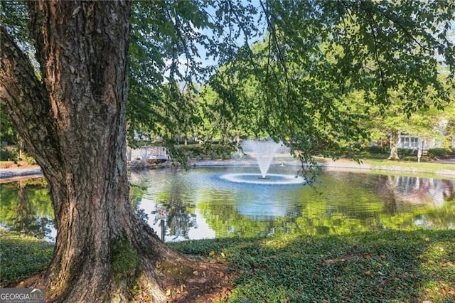 3707 Vineyards Lake Cir NW Unit 22, Kennesaw, GA 30144 - water view