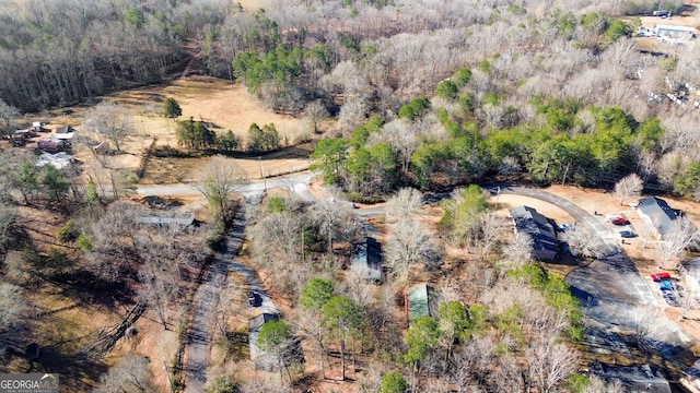 110 Clearview St, Clarkesville, GA 30523 - aerial view of a forest