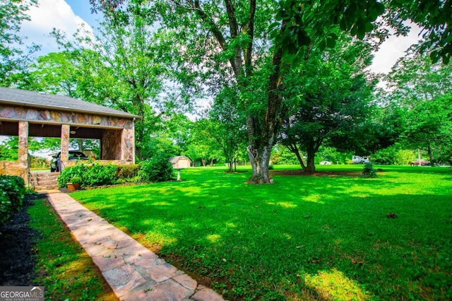 508 College St, Bowdon, GA 30108 - view of grassy yard with an outbuilding