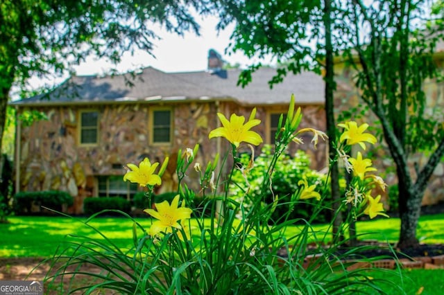 508 College St, Bowdon, GA 30108 - view of side of property featuring stone siding and a lawn