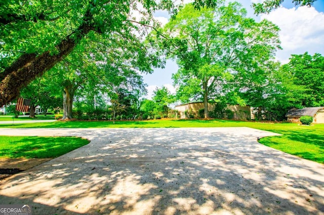 508 College St, Bowdon, GA 30108 - view of community featuring a yard