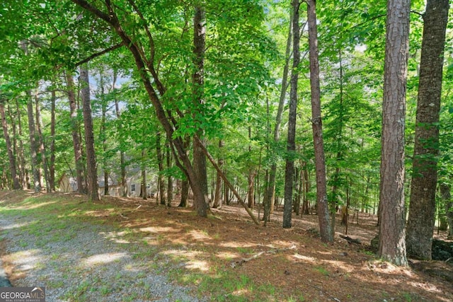 142 Red Cloud Dr, Waleska, GA 30183