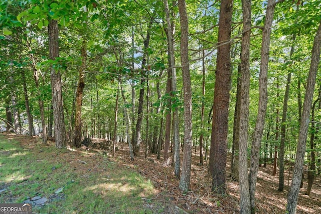 142 Red Cloud Dr, Waleska, GA 30183