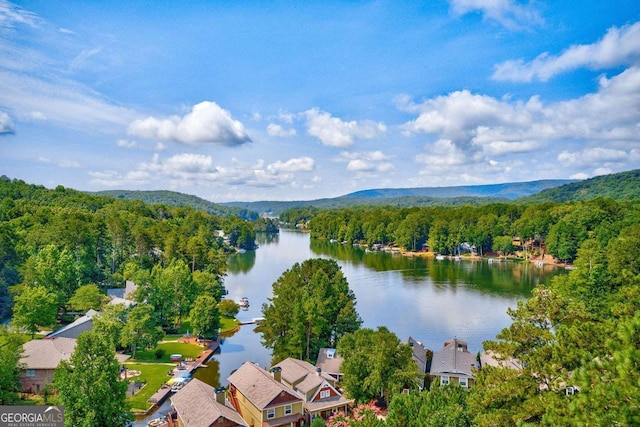 142 Red Cloud Dr, Waleska, GA 30183