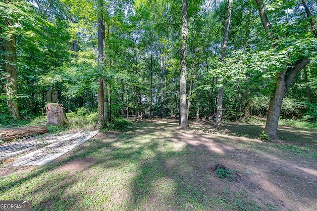950 Jefferson River Rd, Jefferson, GA 30549 - view of yard featuring a view of trees