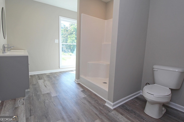 413 Spring Village Rd SE, Lindale, GA 30147 - full bath with wood finished floors, vanity, and a shower