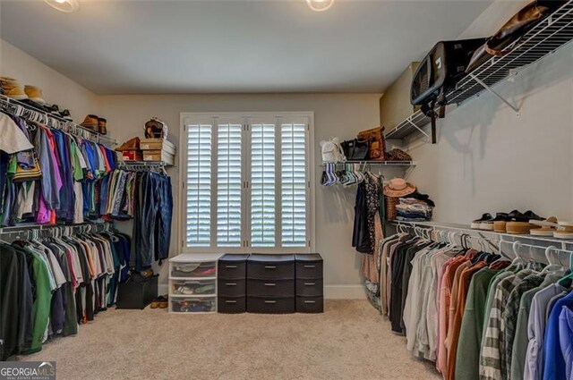 6863 Lake Sterling, Flowery Branch, GA 30542 - walk in closet featuring light carpet