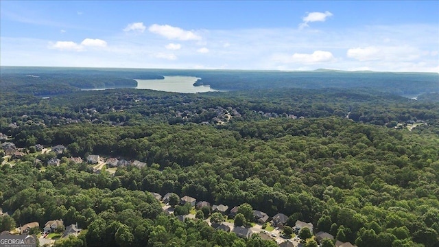 428 Gold Xing, Canton, GA 30114 - bird's eye view of a heavily wooded area