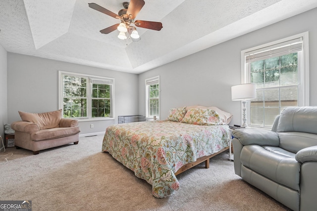1535 Smoke Hill Dr, Hoschton, GA 30548 - bedroom featuring carpet flooring, a raised ceiling, ceiling fan, and a textured ceiling