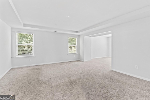 400 Paulownia Cir, Mcdonough, GA 30253 - carpeted empty room featuring a tray ceiling and healthy amount of natural light