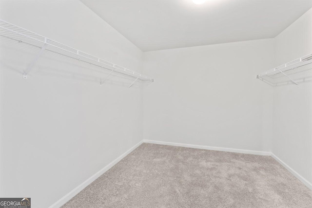 400 Paulownia Cir, Mcdonough, GA 30253 - walk in closet with carpet flooring