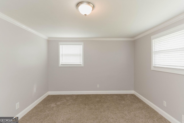 6914 N Baggett Rd, Douglasville, GA 30134 - spare room featuring ornamental molding and carpet floors