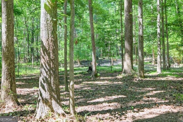 686 Hillwood Ct, Dacula, GA 30019 - view of nature