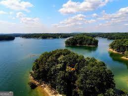 295 Sagamore Cv NW, Sugar Hill, GA 30518 - bird's eye view of a nearby body of water