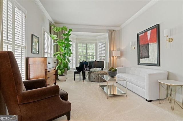 295 Sagamore Cv NW, Sugar Hill, GA 30518 - carpeted living area featuring ornamental molding