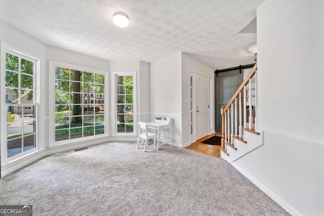 5055 Southland Dr, Woodstock, GA 30188 - empty room with carpet, healthy amount of natural light, a barn door, and a textured ceiling