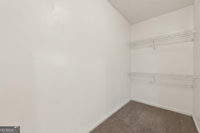 686 Shore Ln, Lithonia, GA 30058 - spacious closet featuring carpet