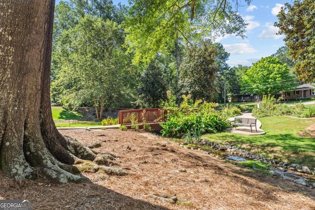 195 Sylvan Rd, Athens, GA 30606 - view of yard featuring a wooden deck