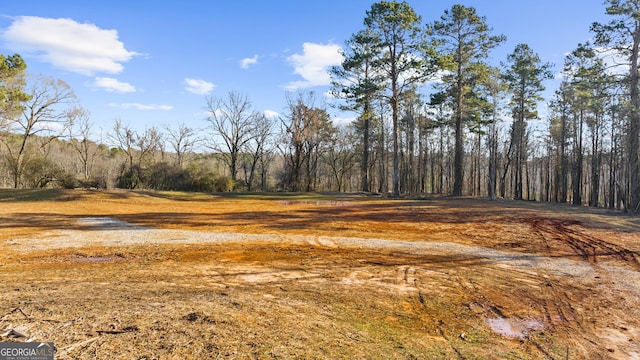 113 Hickory Flat Rd, Alpharetta, GA 30004