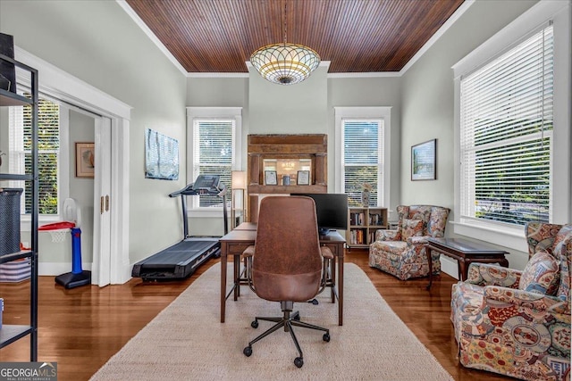205 Cobb St, Palmetto, GA 30268 - office space with ornamental molding, wooden ceiling, plenty of natural light, and wood finished floors