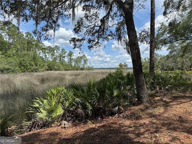 LOT20-C River Place Dr, Waverly, GA 31565