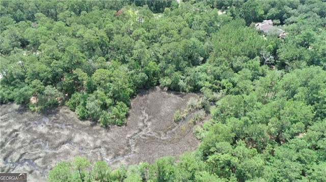 LOT20-C River Place Dr, Waverly, GA 31565