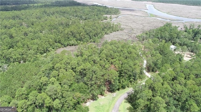 LOT20-C River Place Dr, Waverly, GA 31565