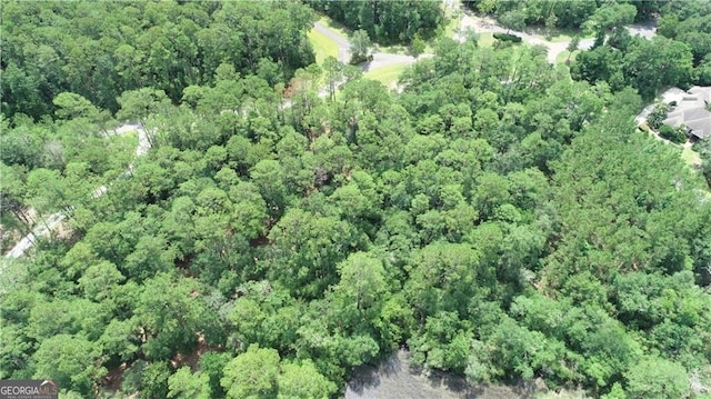 LOT20-C River Place Dr, Waverly, GA 31565