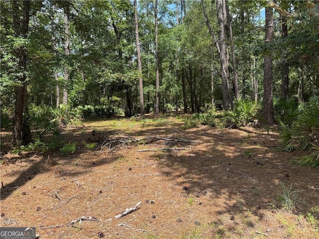 LOT20-C River Place Dr, Waverly, GA 31565