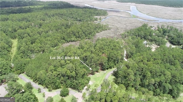 LOT20-C River Place Dr, Waverly, GA 31565