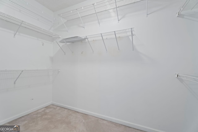 377 Avian Forest Dr, Stockbridge, GA 30281 - walk in closet featuring carpet