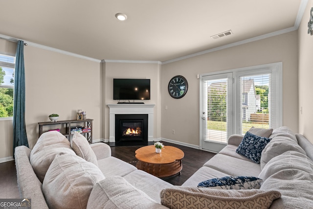 5804 Screech Owl Dr, Flowery Branch, GA 30542 - living room featuring dark wood-style flooring, ornamental molding, and a fireplace with flush hearth