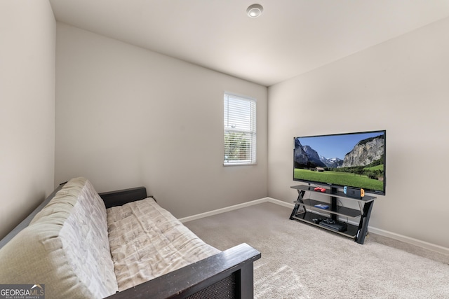 5804 Screech Owl Dr, Flowery Branch, GA 30542 - sitting room with carpet and baseboards