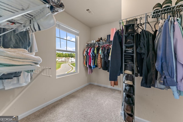 5804 Screech Owl Dr, Flowery Branch, GA 30542 - walk in closet with carpet flooring