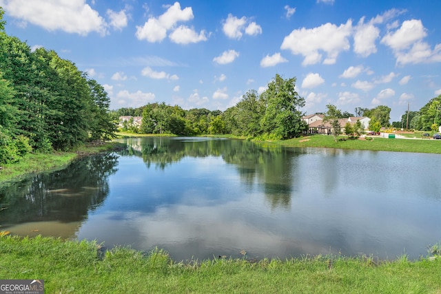 5804 Screech Owl Dr, Flowery Branch, GA 30542 - water view