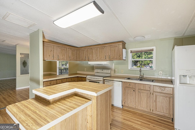 340 Loblolly Rdg, Locust Grove, GA 30248 - kitchen with white appliances, under cabinet range hood, light wood-type flooring, wood counters, and lofted ceiling