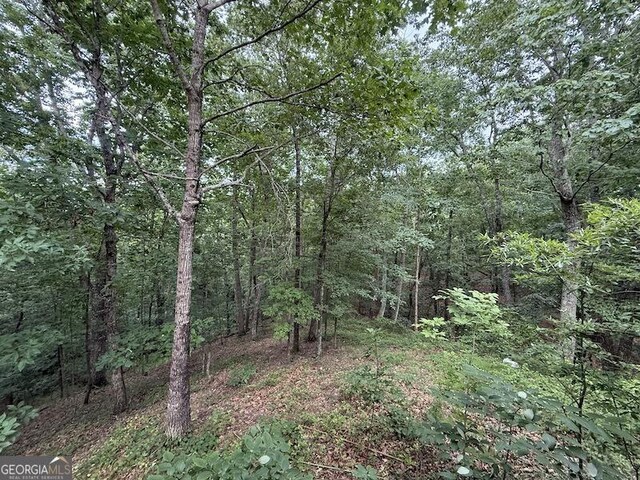 600 Ivory Dr, Baldwin, GA 30511 - view of tree filled area