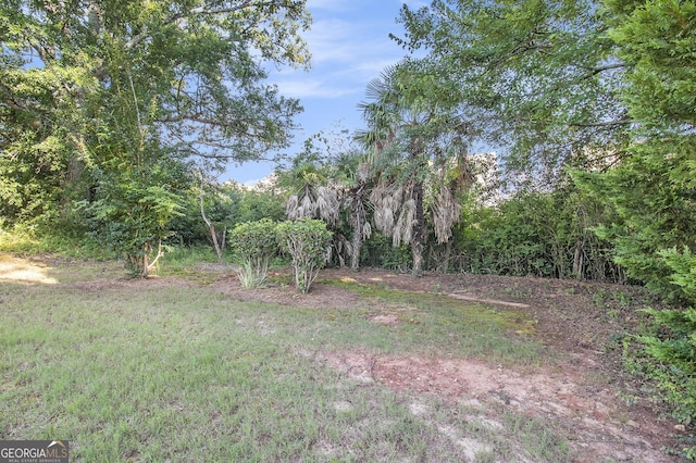 286 Prominent Loop, Mcdonough, GA 30253 - view of yard