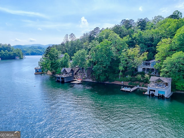 165 Pepe Rd, Clayton, GA 30525 - water view featuring a floating dock